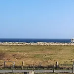 Surf Shack 1 - Nah Am Meer, Wlan, Gemeinschaftsgarten, Surfschule, Naturstrand, Parkplatz, Radfahrweg, Promenade In 10 Minuten Erreichbar, Stopover Puttgarden Ferienhaus