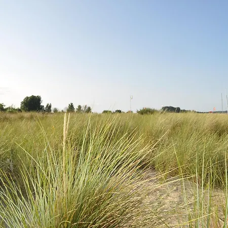 Surf Shack 1 - Nah Am Meer, Wlan, Gemeinschaftsgarten, Surfschule, Naturstrand, Parkplatz, Radfahrweg, Promenade In 10 Minuten Erreichbar, Stopover Puttgarden * داهم